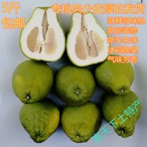  5 kg of fresh Sha Tin grapefruit skin is now picked small grapefruit New house decoration to taste new car deodorant air purification