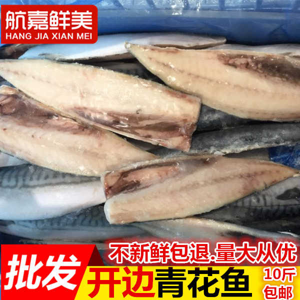 新鲜挪威青花鱼新鲜10斤 份精选青花片去内脏去骨鲭鱼广东包邮