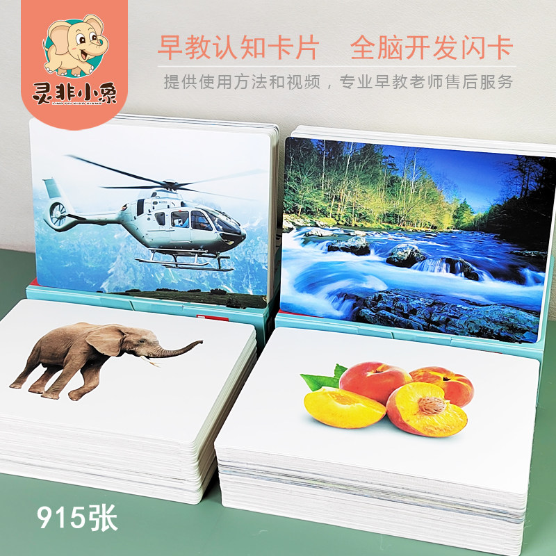 Lingnon Small elephant Monsoon taught young children Baby Literacy Language Cognitive Card Whole Brain Development Encyclopedia Knowledge Shinka-Taobao