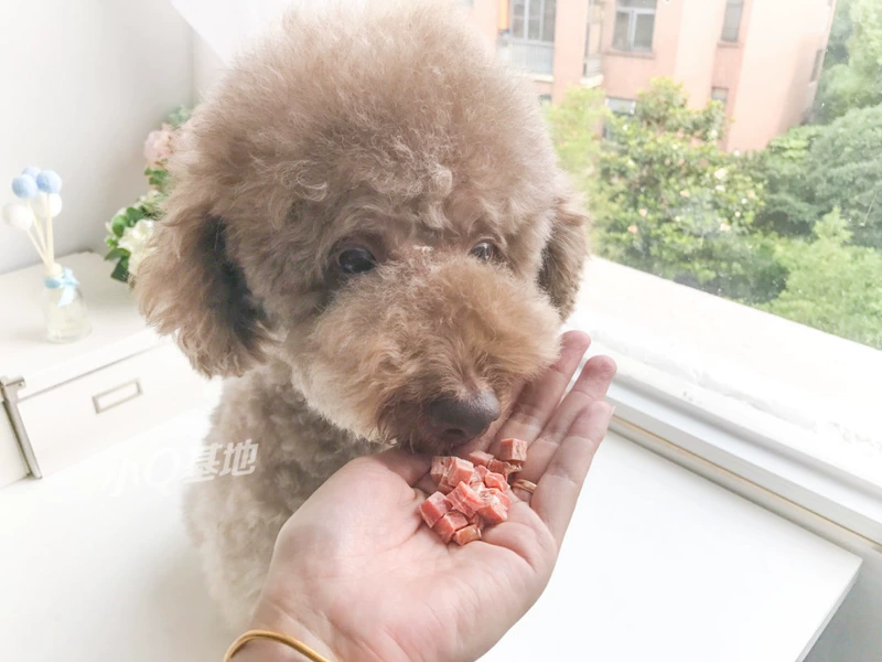 Sentence dog snack bông tuyết hạt thịt Teddy Teddy chất lượng cao hạt thịt bò 100G - Đồ ăn vặt cho chó