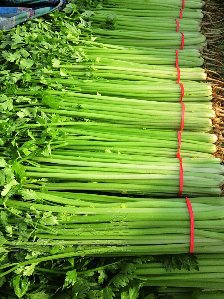 农人卖芹菜获利14元被市监局罚款10万元闽侯法院：不予实行