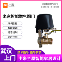 Mijia Intelligent WiFi Intelligent Mechanical Valve Small Love Voice Control Zigbee Water Gas Valve