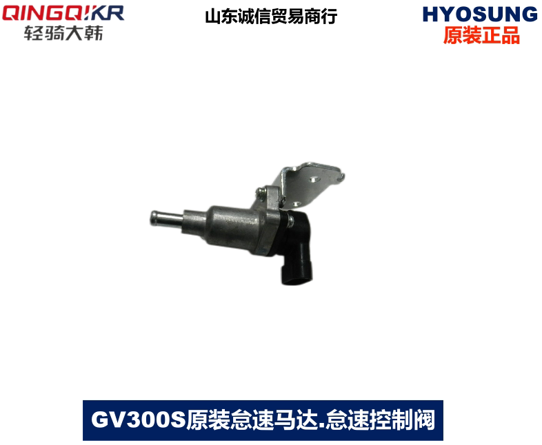 Light riding great Han Xiaoxing GV300S Victory QH300 QM300 Idling motor idling control valve original fitting accessory
