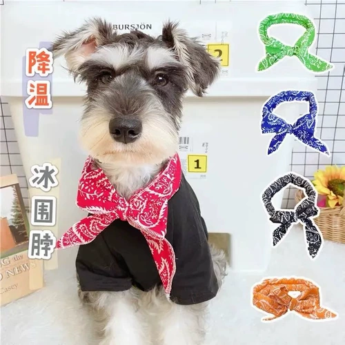 Кольцо для домашнего кольца собачья кольцо, водяной ткань, кошачья бибида в летнем охлаждении маленькой собаки летний анти -хит -кружок