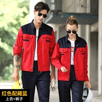 Набор красных и синих воротничков [устойчивый к износу весеннего и осенний стиль]