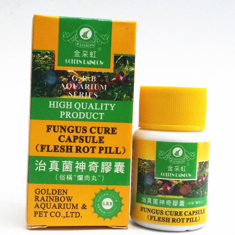 Gold Mining Iridescent Fungi Amazing Capsule Rotten Meatballs Ornamental Fish Rotten Meat 20 grains to prevent fish disease Parrot Confessions Disease