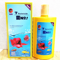 Dolphin bacteria ON FINE FUNGICIDE Rotten Finishness of the Rotten Tail of the Flesh And Blood Rot of Gills Red Parrot-Carp Cockatoo