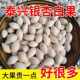 Taixing ginkgo ginkgo fruit in shell fresh extra large raw ginkgo farmer's non-drifting dry goods hundred fruits 2-5 Jin Jin is equal to 0.5 kg