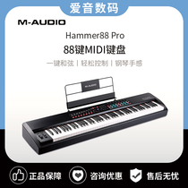 M-AUDIO Hammer88 Pro bricography master MIDI keyboard percussion cushion full counterweight piano feel