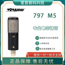 797 Audio M5 Professional condenser microphone Recording anchor K song dubbing Mixing microphone Set