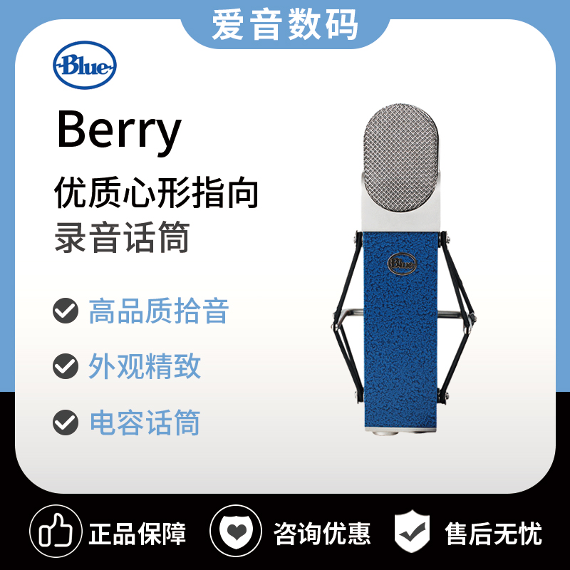 Blue Berry blueberry large-diaphragm special condenser microphone net red anchor microphone K song recording studio equipment
