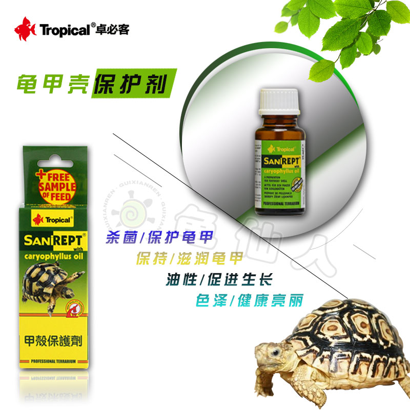Polish Tropical Nail Oil Turtle Shell Oil Removal Prevention Fungus Moisture Moisturizing Tortoise Water Turtle Shell Polish Tropical Nail Oil Turtle Shell Oil Removal Prevention Fungus Moisture Moisturizing Tortoise Water Turtle Shell
