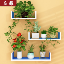 Living room wall mini flower rack storage rack orchid hanging rack Orchid flower rack Multi-layer indoor wall space-saving