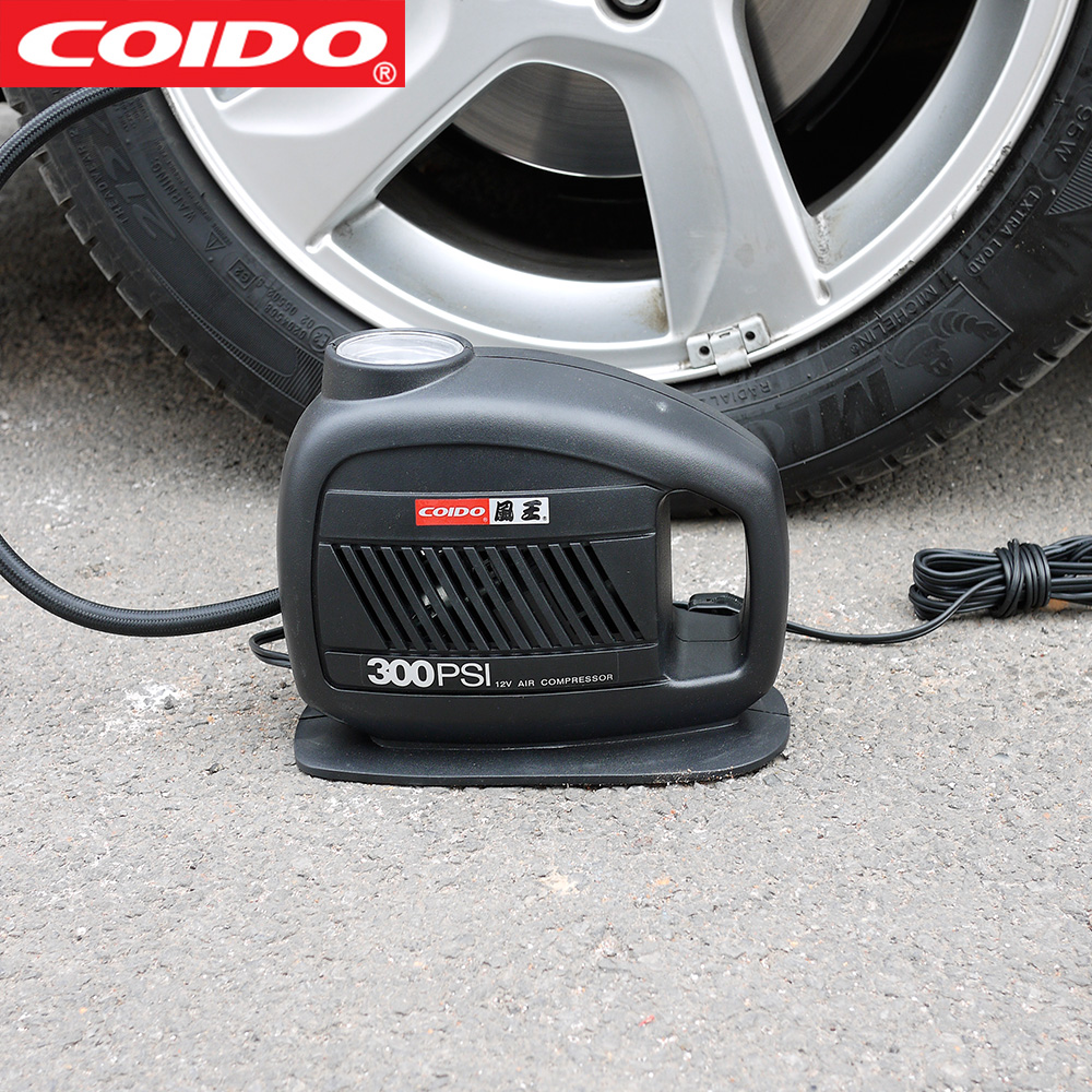 Fengwang car air pump 12v electric car pump tire pressure gauge car household tire pump portable 6925