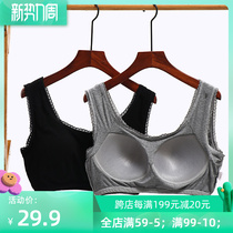 Big Code Bra Fixed Cups Thread Pure Cotton Vest Style Underwear Without Running Cups Sleep Bra Fat mm200 Catty