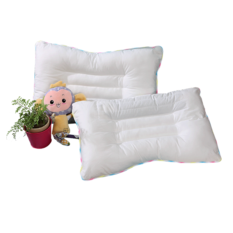 ������ʥ֮��������Ʒѧ����843000071