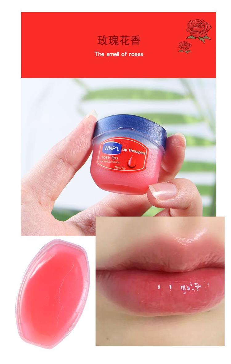 Vaseline Sleeping Lip Mask/lip balm WiserChoices