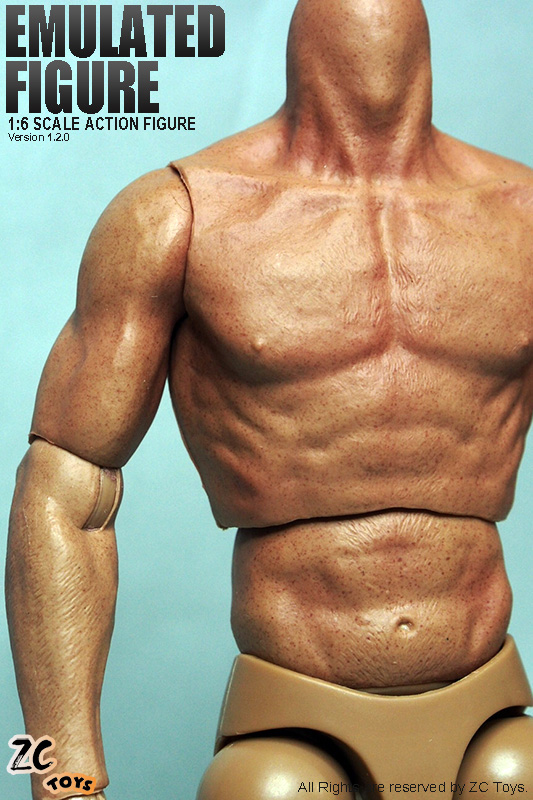 ZC Toys 1//6 Scale 3.0 Muscular Figure Body Seamless Arm TTM19 Fit Wolverine USA