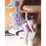Смешная кошачья палочка феи -дочь -в -кошачьи боевые кошка кошка кошка кошка голубая кошка синяя кошка кошка кошка