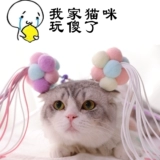 Смешная кошачья палочка феи -дочь -в -кошачьи боевые кошка кошка кошка кошка голубая кошка синяя кошка кошка кошка