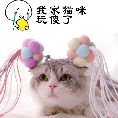 Смешная кошачья палочка феи -дочь -в -кошачьи боевые кошка кошка кошка кошка голубая кошка синяя кошка кошка кошка