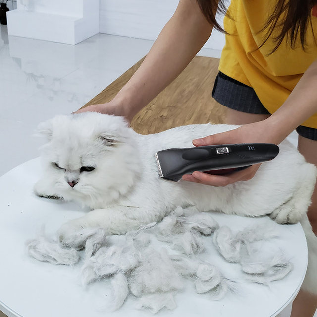 cat hair clippers