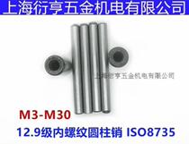 10 9 level internal thread cylindrical pin M10 series GB T120-2000 (ISO8735-1997)