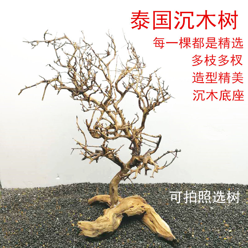Thai Sunken wood Moss tree Thai branch Brazilian Sunken Wood Tree Water plant Fish tank landscaping decorative Rhododendron root