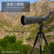 American Star Tran 22-67x100 large-caliber high-definition monoculars zoom birdwatching mirror waterproof