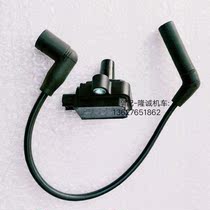 Lungxin Class 200R High Voltage Pack LX200 - 18 200R Motorcycle Lighting Coil High Voltage Pack Components