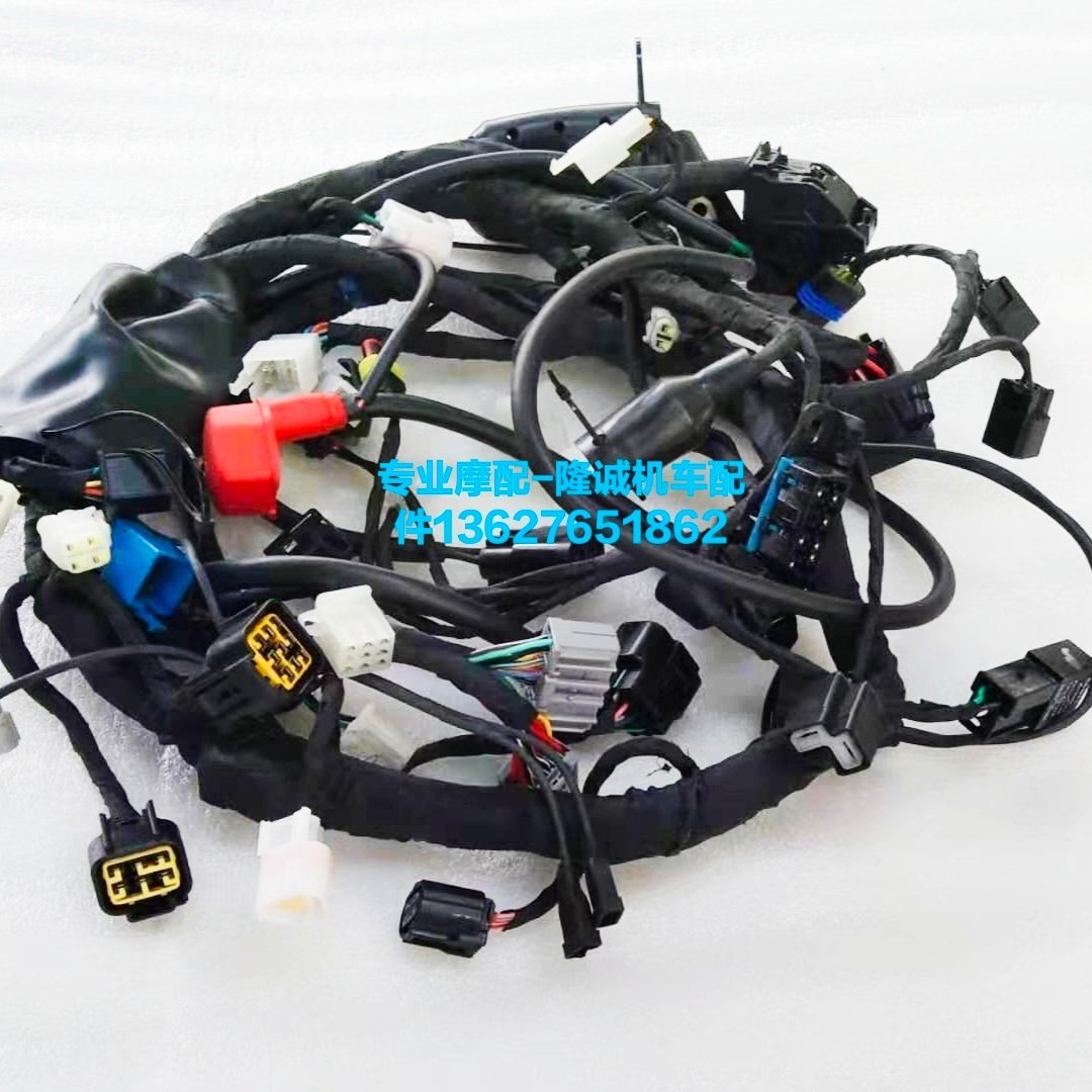 Lungxin Style 500DS Main Cable LX500 - A Motorcycle Cable Special Cable Wire Harness Cable