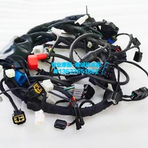 Lungxin Style 500DS Main Cable LX500 - A Motorcycle Cable Special Cable Wire Harness Cable