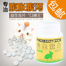 Hamster diarrhea wet tail antidiarrheal supplies Probiotic treasure Rabbit diarrhea Golden silk bear drug treatment water 30 tablets bottled