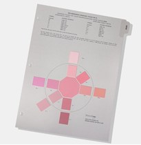  MUNSELL MUNSELL EIA-TIA 598-A Rose color coded chart Supplementary single page