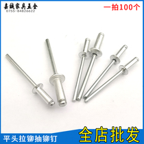 Blind rivets Sunk Head aluminum iron rivets flat head aluminum studs Latin guns 100 round heads