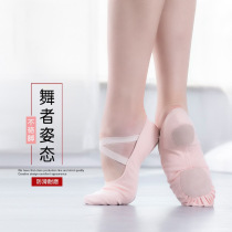 Full stretch cloth dance shoes teacher practice shoes body soft sole ballet adult dance practice cat claw shoes