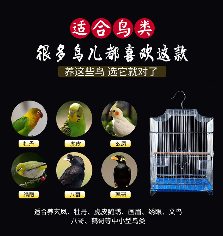 402d Bird Cage_03.jpg