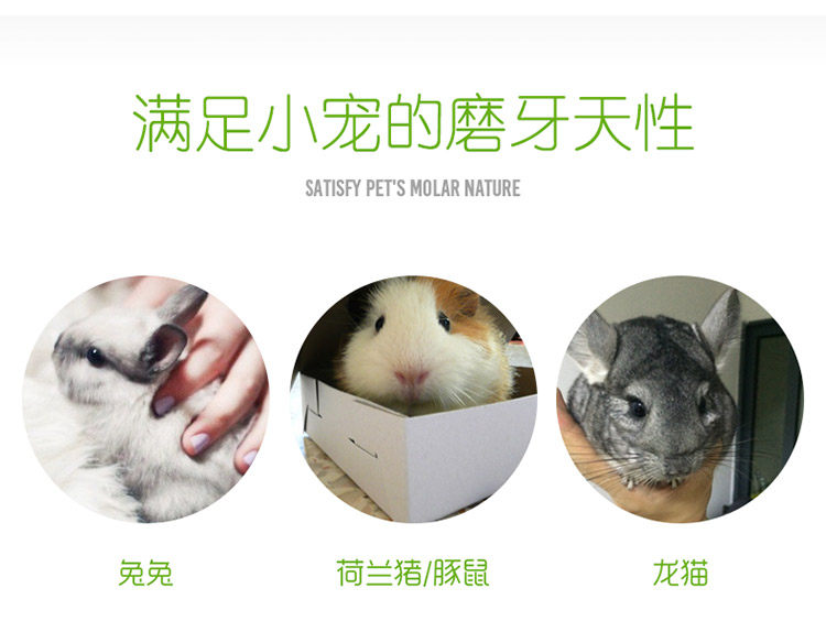 0 苜蓿 苜蓿 苜蓿 苜蓿 _05.jpg