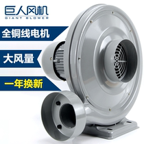 Giant 550W vacuum smoke cutting industrial laser engraving machine woodworking dust collector centrifugal medium pressure blower