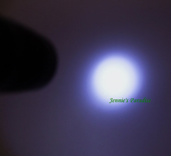 DSCF5810