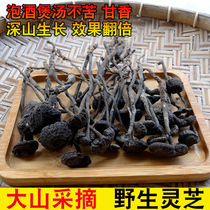 New goods Nankunshan Black Lingche Wild Breeze Linzhi Natural slice Linzhi does not suffer 500g