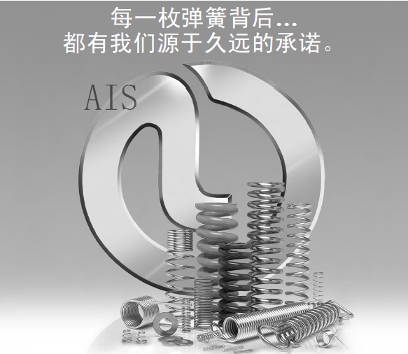 代理美国Lee Spring 力司百灵 弹簧Lc 067g 12 M, Ei 011A 01 m