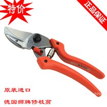 Original German Lion 8107 iron drill pruning shears garden tools horticultural Scissors Scissors Scissors