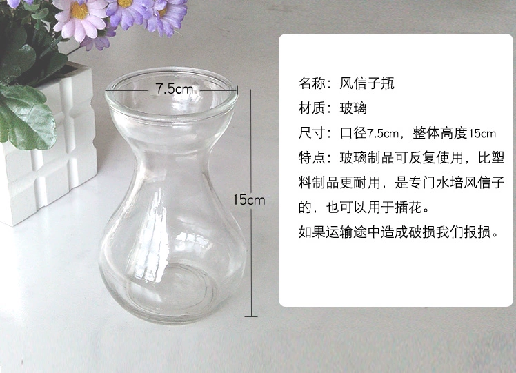 Hyacinth chai thủy tinh chai thủy canh hoa sắp xếp ban công cây xanh trồng vườn trồng trong chậu - Vase / Bồn hoa & Kệ chậu hoa treo tường