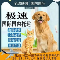 Complementary freight pet shipping service nationwide air transportation fire transportation special car transportation Beijing and Shanghai international mailing