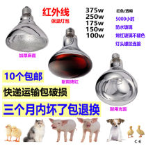 Basda animal husbandry pig farm pet insulation heating heating infrared bulb 175W for 3 months