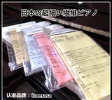 Япония Itomasa Erhu гитара на фортепиано музыкальный инструмент Специальный пианино Rub