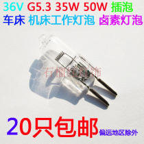 Machine Tool Bubble G5 3 36V 35W 50W lathe working lamp ball Instrument bulb halogen lamp bead plug