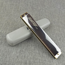 Easttop dongfangding 24-hole Polyphonic C T2401 adult children self-taught playing harmonica