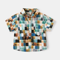 Цветный блок 4431